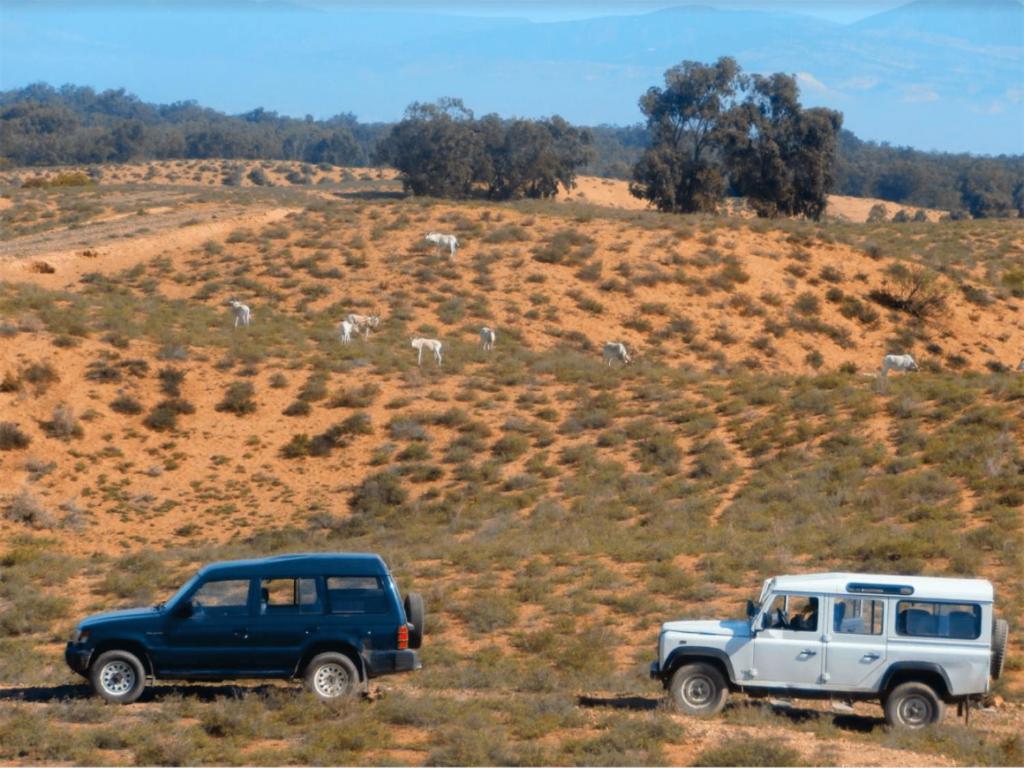 Camping Wassay Beach Sidi Ouassay Eksteriør billede